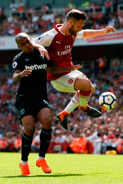 樊振东与王 樊振东与王